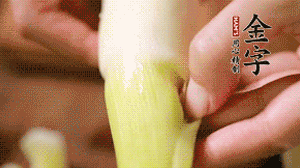 茭白剝?nèi)ネ鈿?，先切片再切絲。