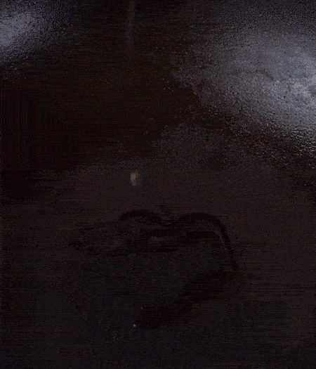 冷鍋熱油，下蒜片爆香，下香腸、玉米筍、蓮藕、西芹爆炒，期間加點(diǎn)水，翻炒1分鐘后加新鮮百合片，翻炒30秒。