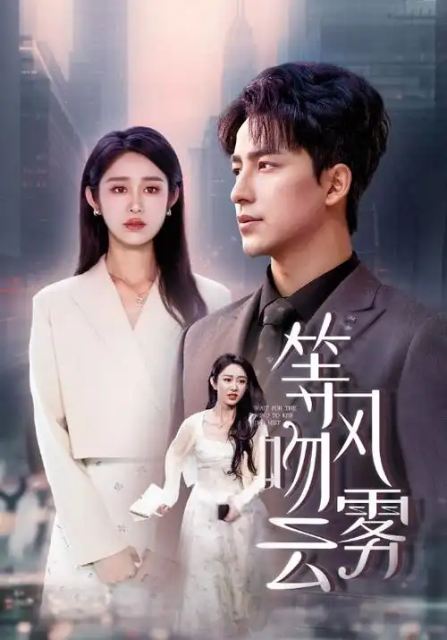 山河锦绣 电视剧封面