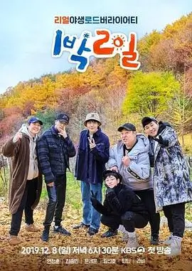 歌声飞扬 综艺封面